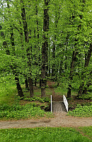 Tom3041_20260527_6a168c9cbeb5f.jpg