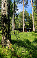 Tom3041_20260527_6a168d399b3ca.jpg