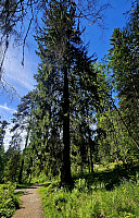 Tom3041_20260527_6a168d39c25cb.jpg