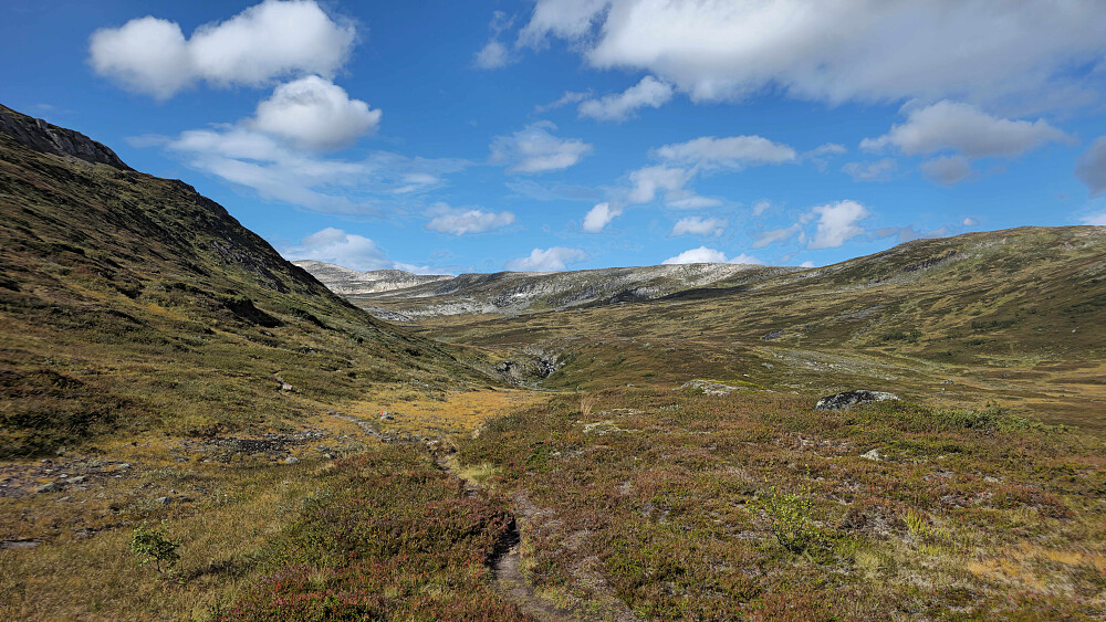 Kommer raskt ut av skogen, og terrenget åpenbarer seg.