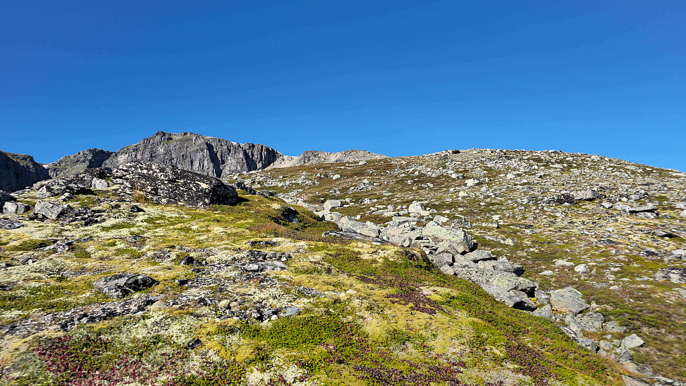 Ryggen opp mot Mohaugen.