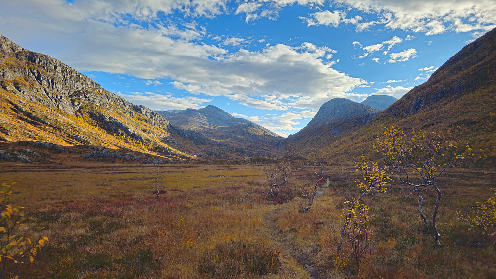 Flotte høstfarger. Den beskrivelsen kan brukes på mange av bildene fra denne turen.