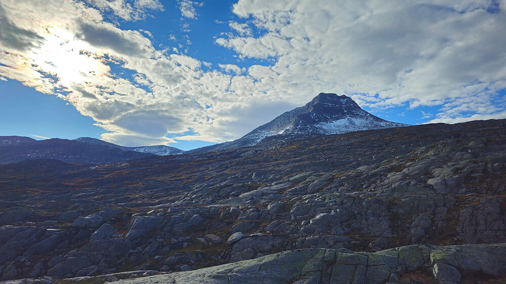 Neådalssnota ruver i sør.