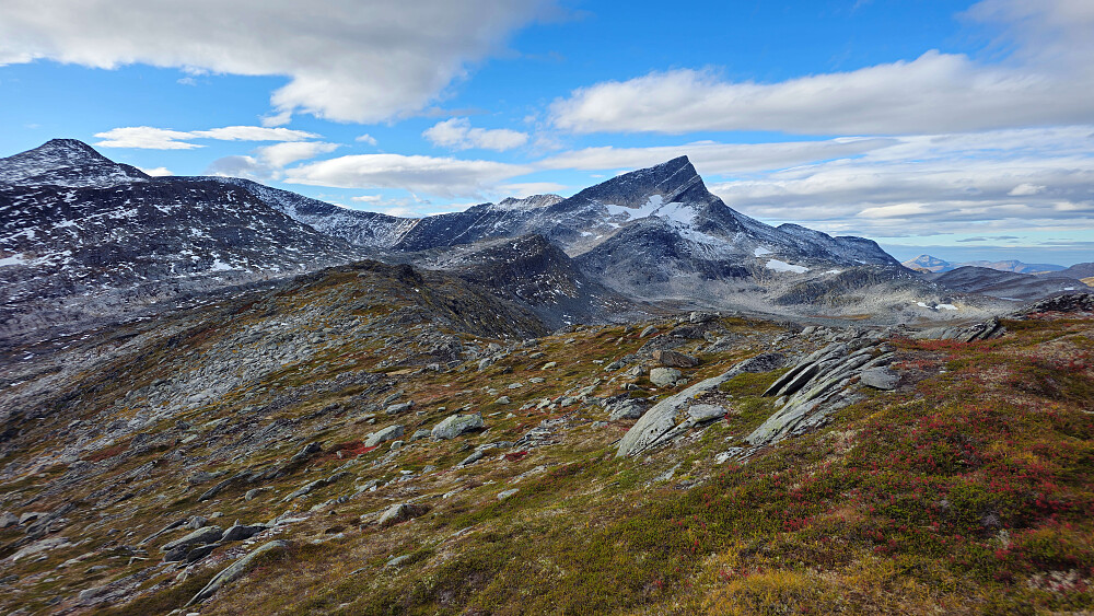 Lettgått bortover mot Neådalssnota NØ.