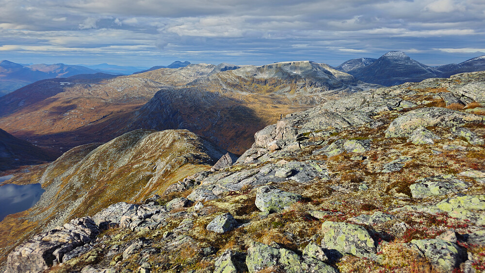 Staker ut en kurs ned fra ryggen.