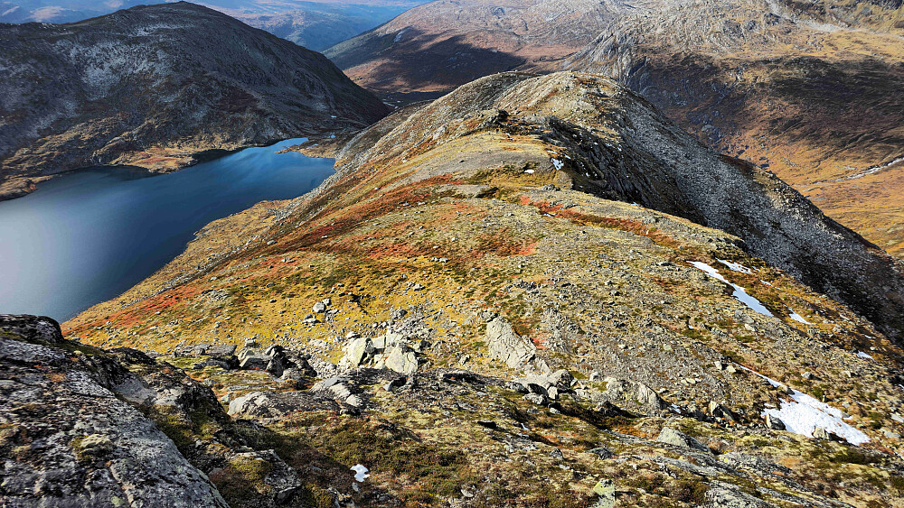 Noen lettgåtte parti ispedd noen solide hammere nedover ryggen.