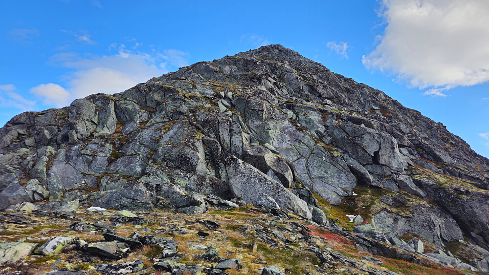 Mindre lettgått parti. Senka med forsiktig ned flere steder.