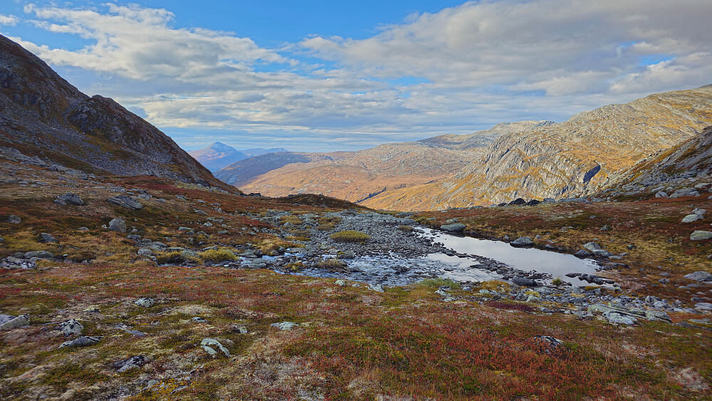 Noen tråkk her og der, men må stort sett stake ut egen kurs ned lia til Naustådalen.