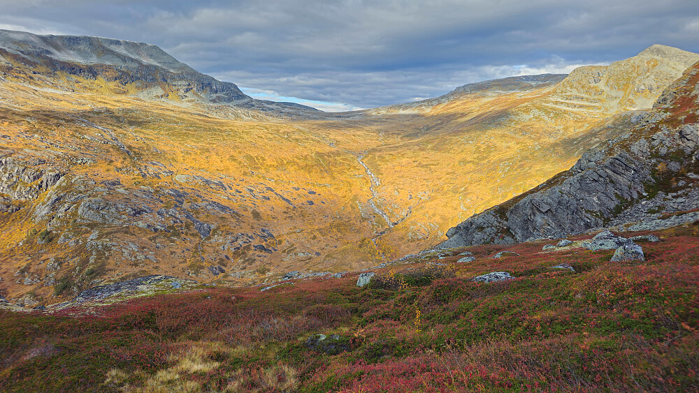 Høstfargene blir forsterket i ettermiddagssola.