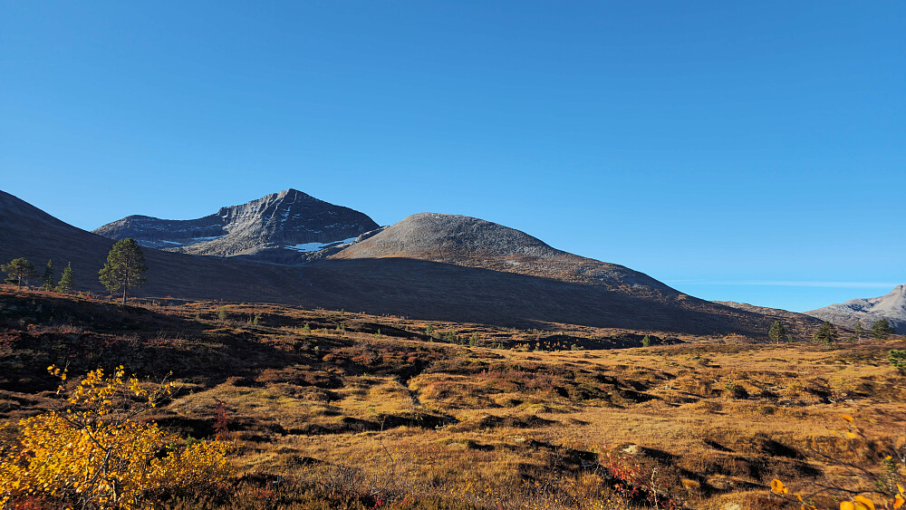 Landskaper slaker ut etter en bratt start. Ser dagens mål for første gang.