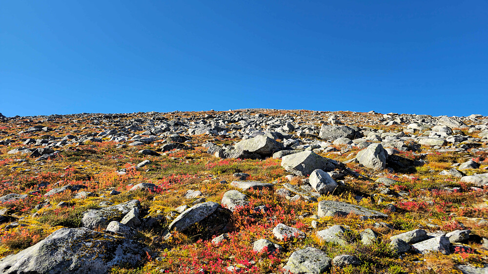 Tilbakeblikk på tur ned fra NV2.