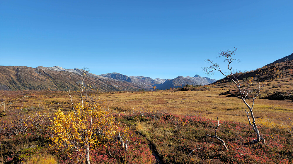 Magiske høstfarger.