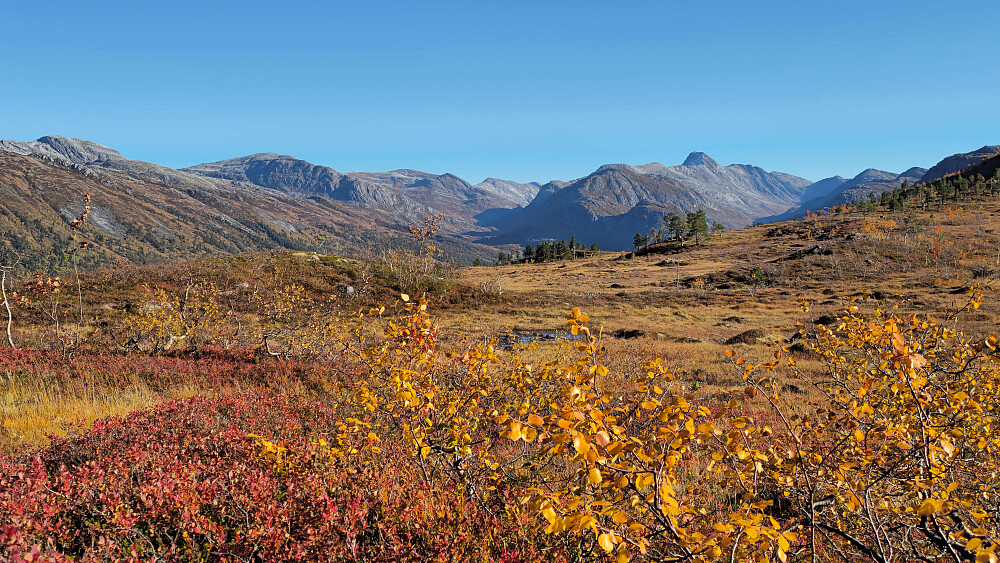Forsøk på å ramme inn et motiv.