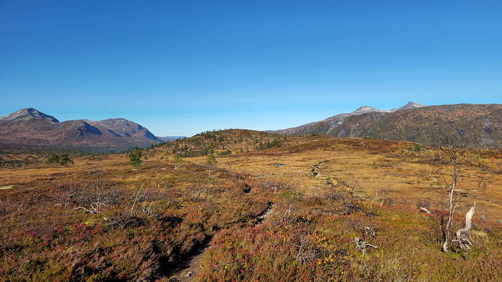 Legger ruta innom Taløystorhaugen.
