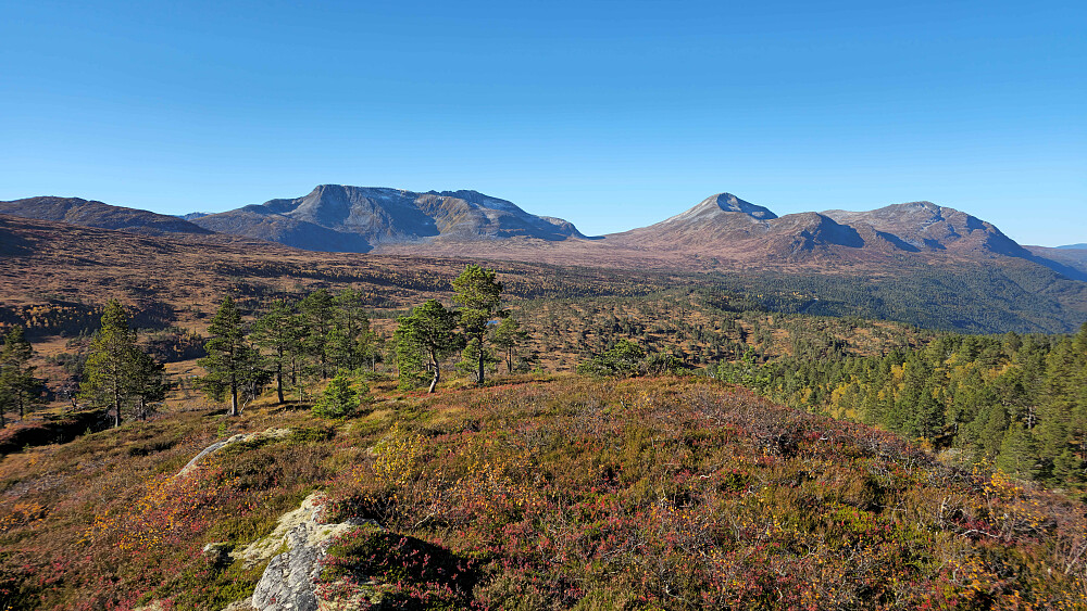 Viromkjerringa og Grånebba fra Taløystorhaugen.