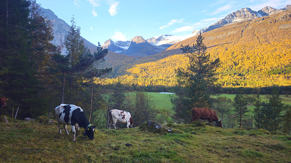 Selskap ved start fra Dalen.