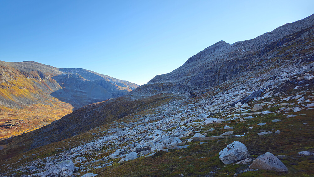 Tar av fra stien og tar straka vegen mot Renndalskammen.