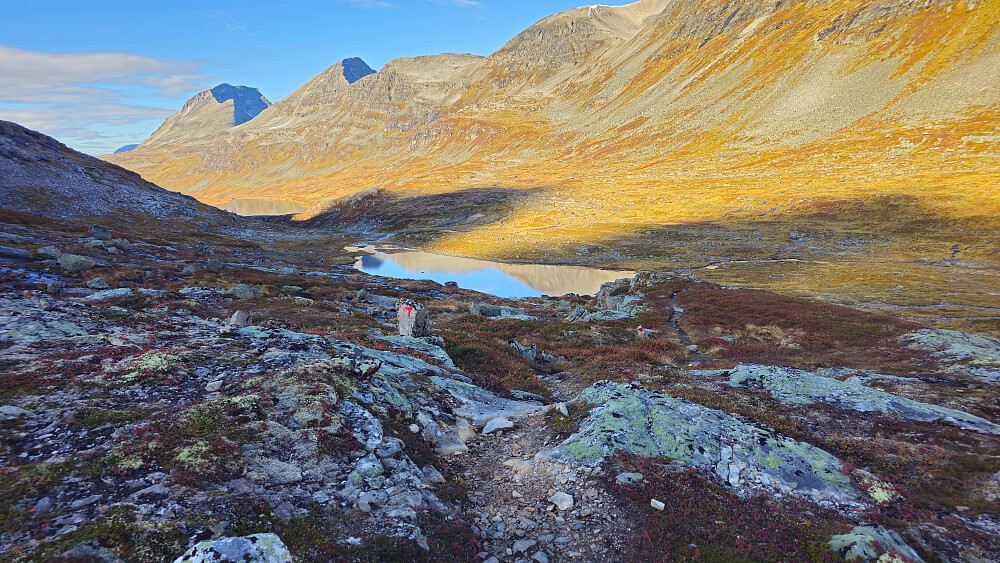 Fin sti nedover fra Langvatnet.