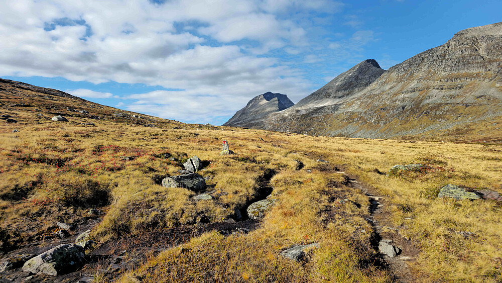 Fornøyd med mange av dagens blinkskudd.
