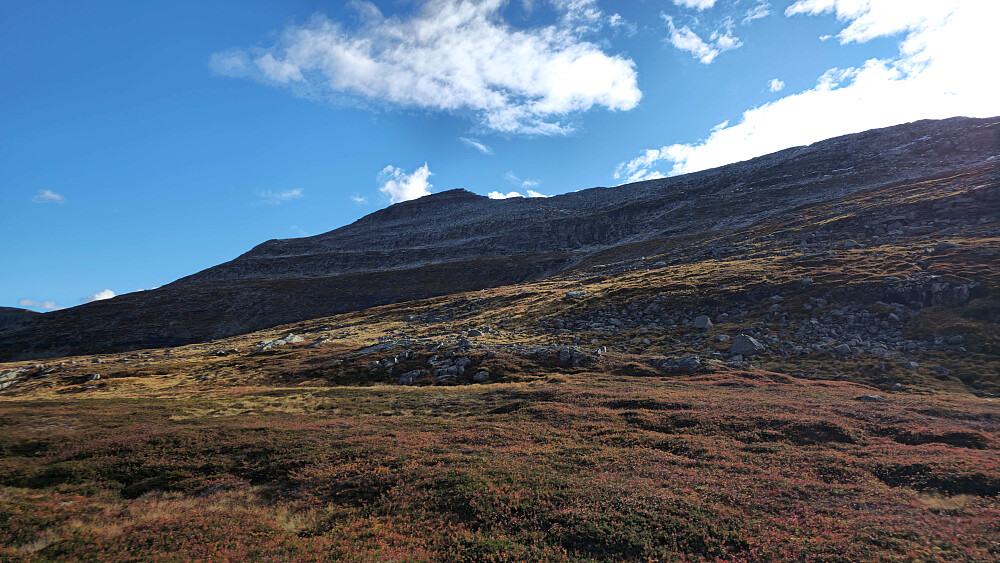 Tilbake der jeg tok av opp mot Renndalskamman.
