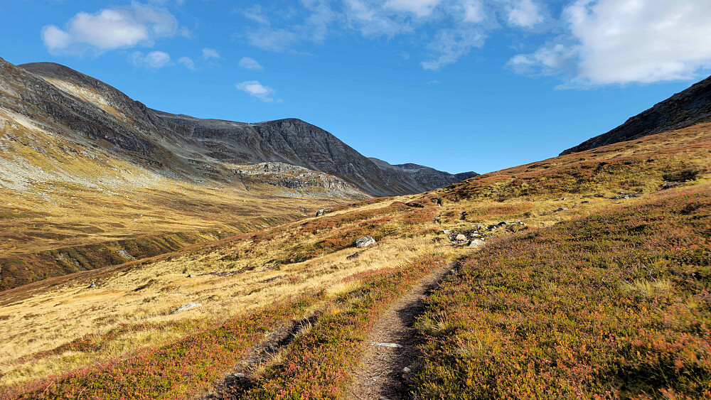 Ser innover Renndalen.