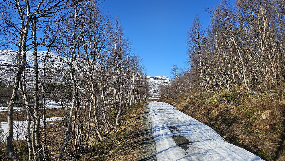 Magert med snø langs veien inn mot Tovatna.