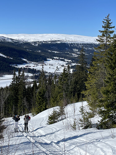 Snøscootersporet gjennom hogstfeltet