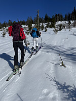 Snart over tregrensa