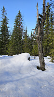 monakalvå_20260327_69c6ca4c4ab64.jpg