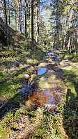 monakalvå_20260331_69cc30e60f92d.jpg