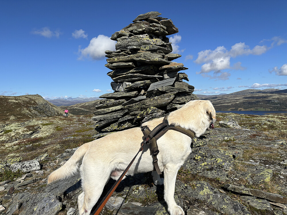 Storm på Nysæterkampen
