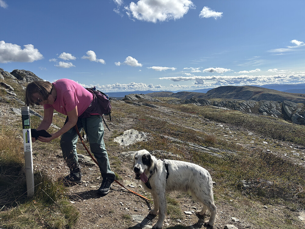 Stolpejakt på Svartfjellet.