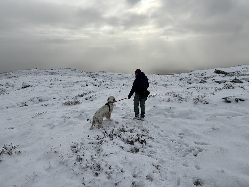 Flott stemning i dag med sol som kom gjennom skylaget
