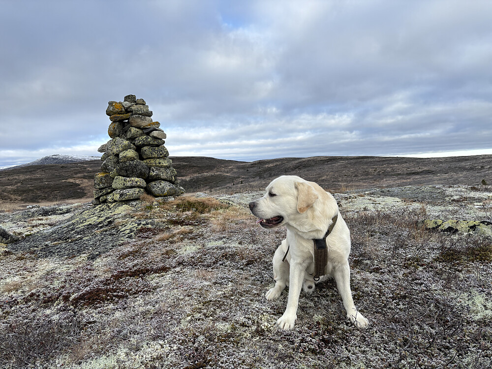 Storm på Sørtoppen