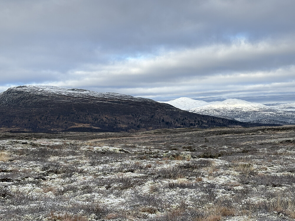 Mot Ongsjøfjellet. Veldig mye mer snø på Gråhøene.