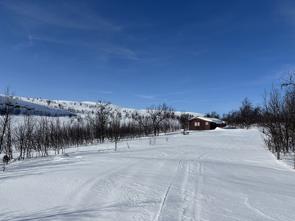 Revsjøvegen i svingen opp mot Vetafjellet
