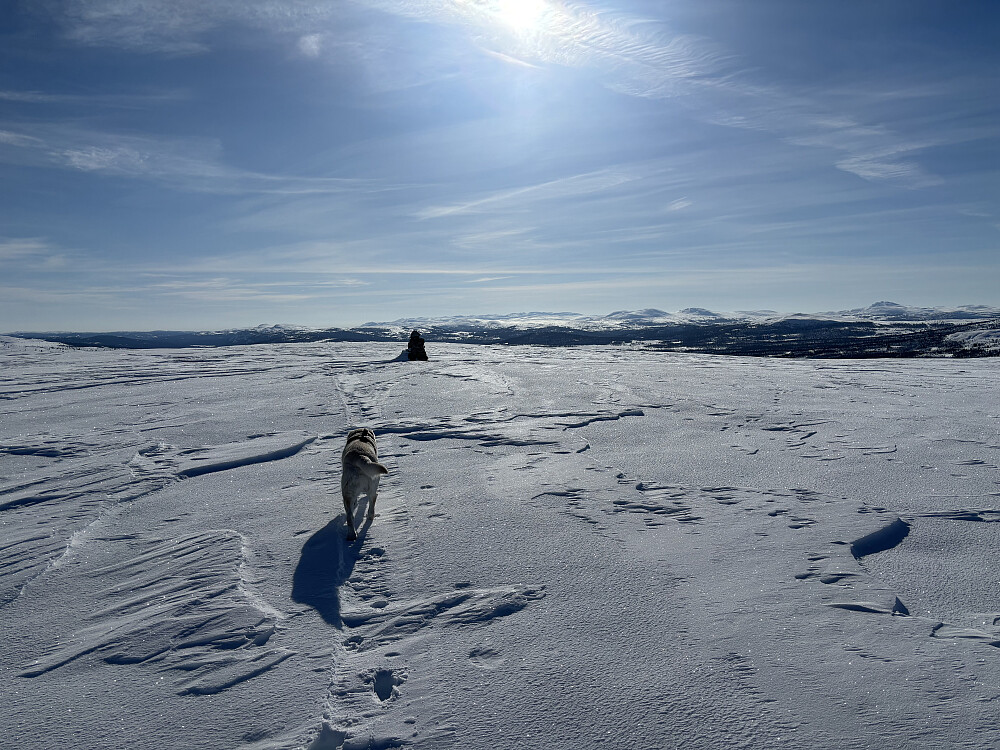Storm på Vetafjellet