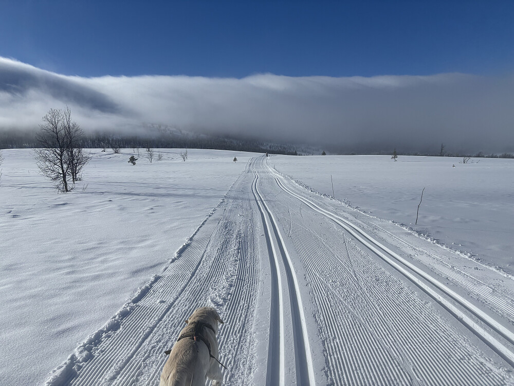 På vei mot stigningen til Leppskardet