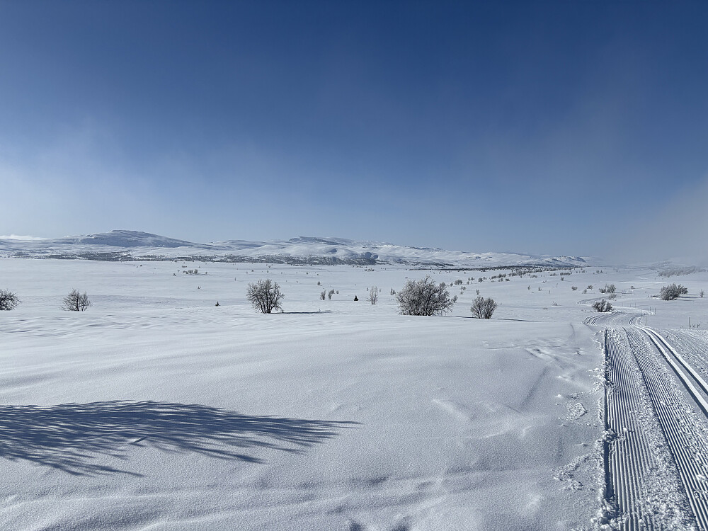 Etterhvert ble det riktig så fint