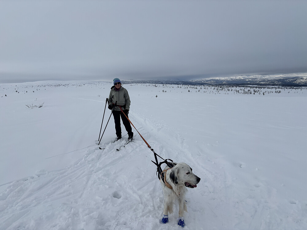 Overskyet på Storhaugen, Anne Grete og Trym.