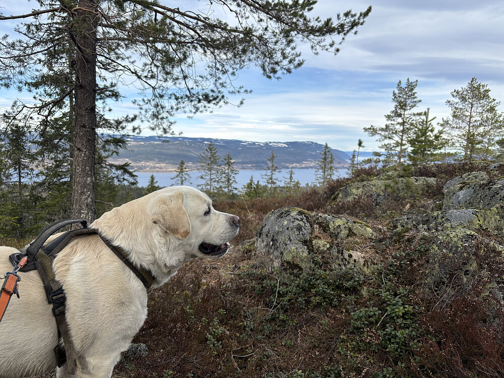Storm på utsiktspunktet ved Mohue der stolpen var plassert.