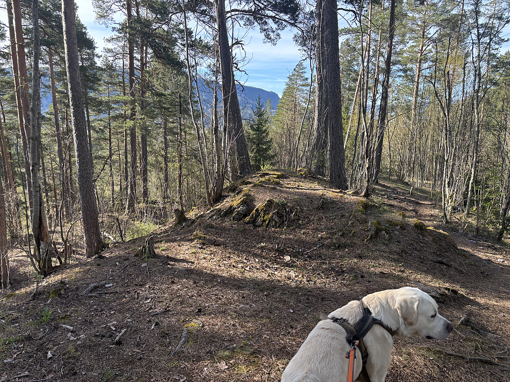 På toppen av Gjesvalåsen