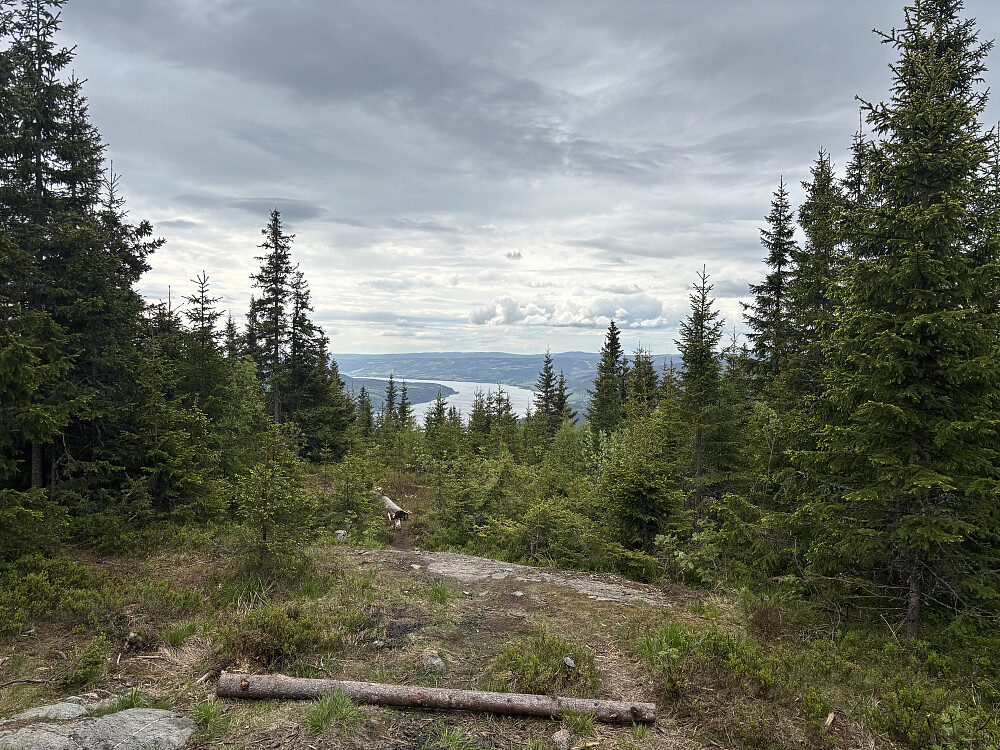 Ved gapahuken på Balbergkampen