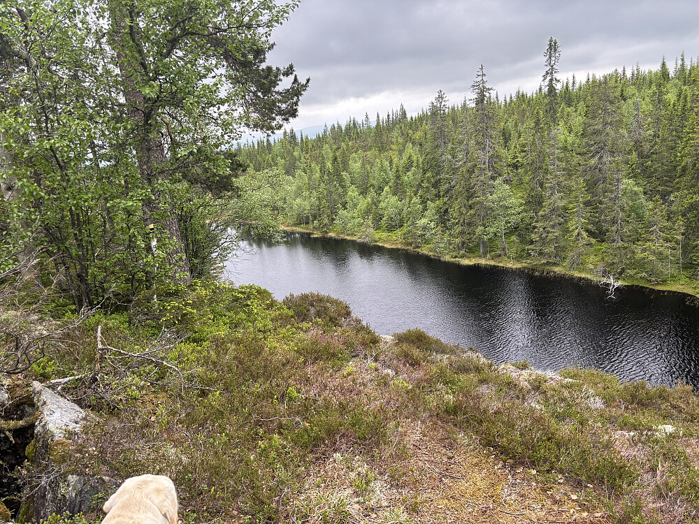 Ved Store Helvete