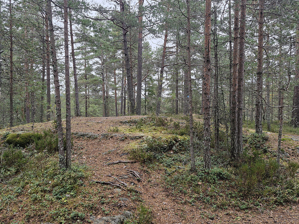Skullerudåsen