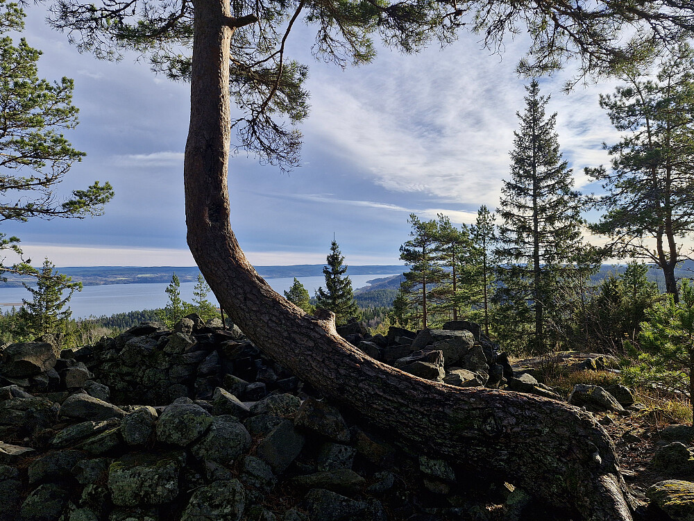 Utsikt fra Tjuvstuåsen mot Øyeren
