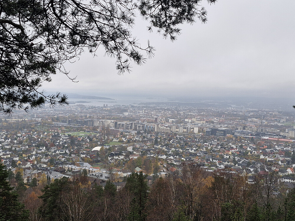 Oslo sett fra Utsikten