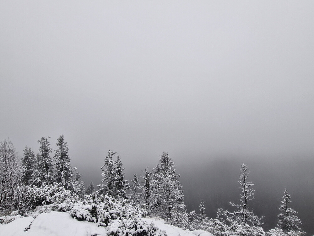 Grått på Gaupekollen utsiktspunkt