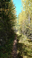 Uglemose_20250924_68d3f45eae7f8.jpg