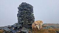 Rostro_20250906_68bc684f89ec2.jpg